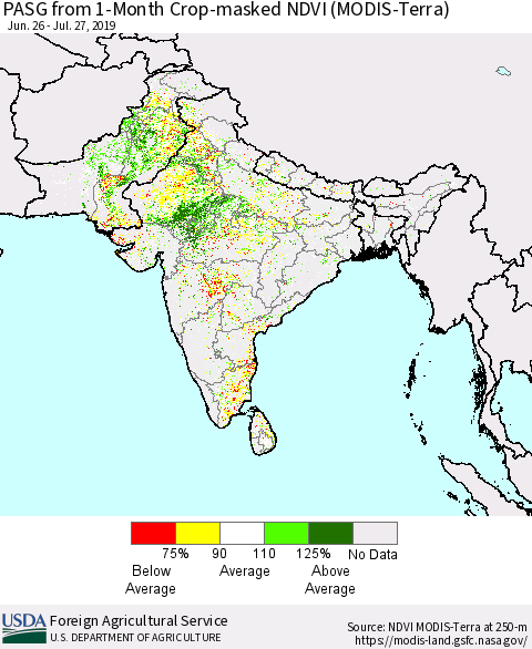 Southern Asia PASG from 1-Month Cropland NDVI (Terra-MODIS) Thematic Map For 7/21/2019 - 7/31/2019