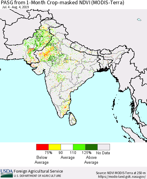 Southern Asia PASG from 1-Month Crop-masked NDVI (MODIS-Terra) Thematic Map For 8/1/2019 - 8/10/2019
