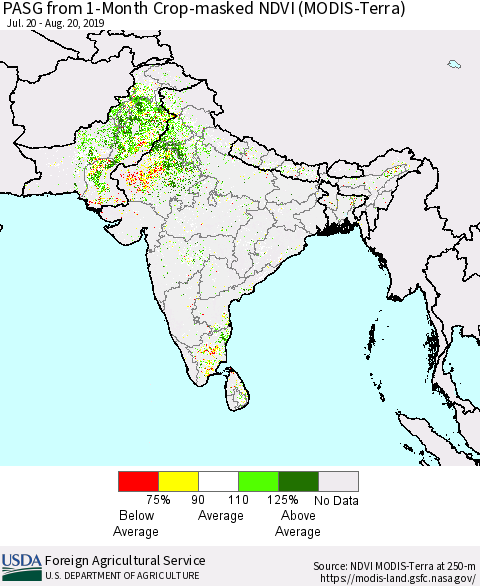 Southern Asia PASG from 1-Month Crop-masked NDVI (MODIS-Terra) Thematic Map For 8/11/2019 - 8/20/2019