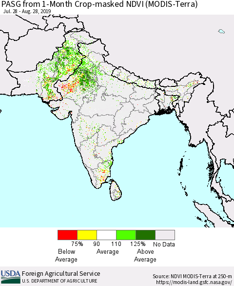 Southern Asia PASG from 1-Month Crop-masked NDVI (MODIS-Terra) Thematic Map For 8/21/2019 - 8/31/2019
