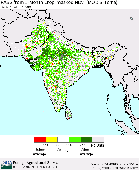 Southern Asia PASG from 1-Month Cropland NDVI (Terra-MODIS) Thematic Map For 10/11/2019 - 10/20/2019