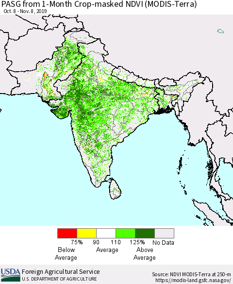 Southern Asia PASG from 1-Month Cropland NDVI (Terra-MODIS) Thematic Map For 11/1/2019 - 11/10/2019