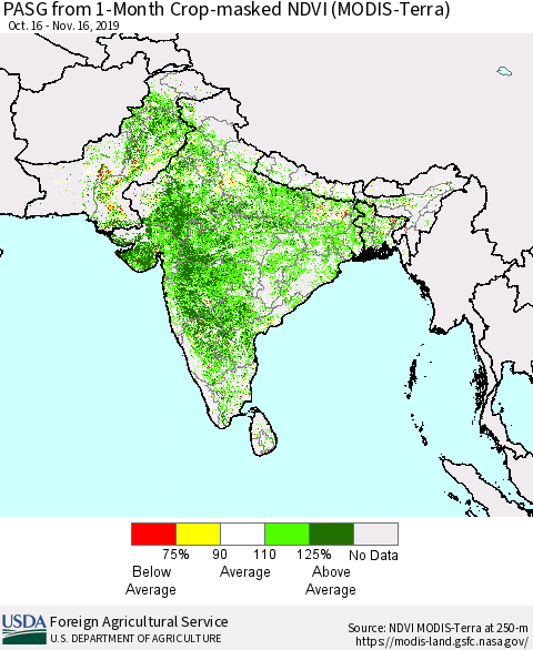 Southern Asia PASG from 1-Month Crop-masked NDVI (MODIS-Terra) Thematic Map For 11/11/2019 - 11/20/2019