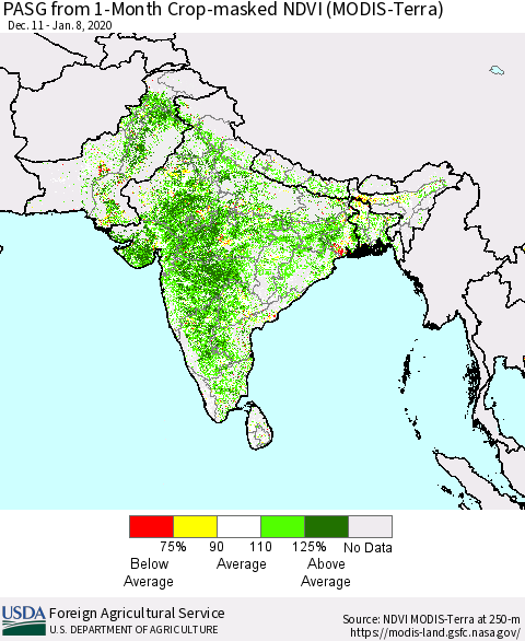 Southern Asia PASG from 1-Month Cropland NDVI (Terra-MODIS) Thematic Map For 1/1/2020 - 1/10/2020