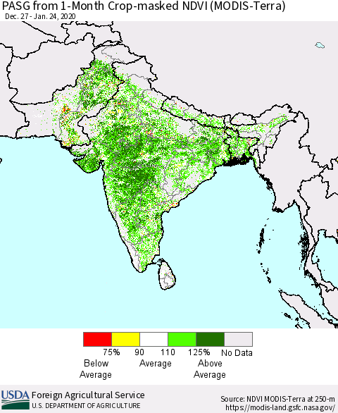 Southern Asia PASG from 1-Month Crop-masked NDVI (MODIS-Terra) Thematic Map For 1/21/2020 - 1/31/2020