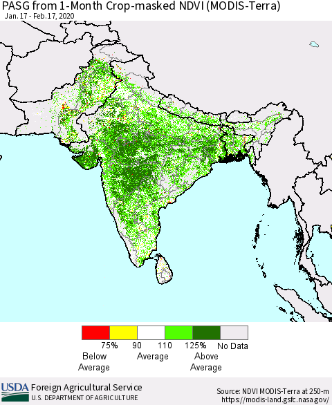 Southern Asia PASG from 1-Month Crop-masked NDVI (MODIS-Terra) Thematic Map For 2/11/2020 - 2/20/2020