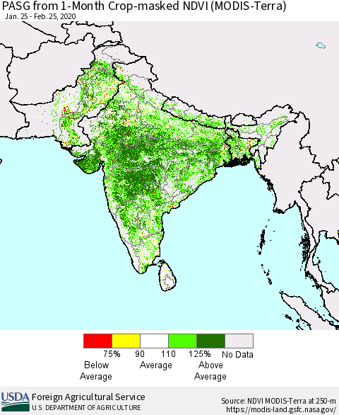 Southern Asia PASG from 1-Month Crop-masked NDVI (MODIS-Terra) Thematic Map For 2/21/2020 - 2/29/2020