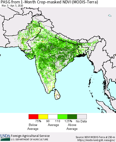 Southern Asia PASG from 1-Month Cropland NDVI (Terra-MODIS) Thematic Map For 4/1/2020 - 4/10/2020