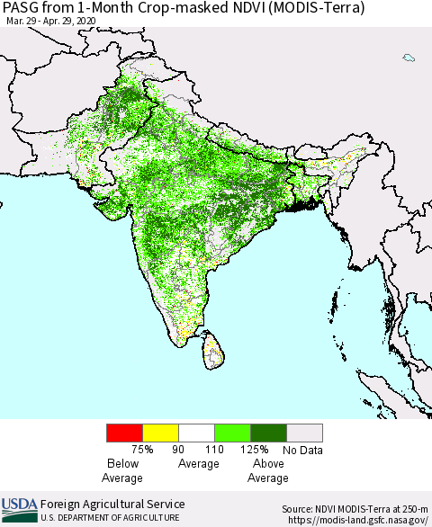 Southern Asia PASG from 1-Month Cropland NDVI (Terra-MODIS) Thematic Map For 4/21/2020 - 4/30/2020