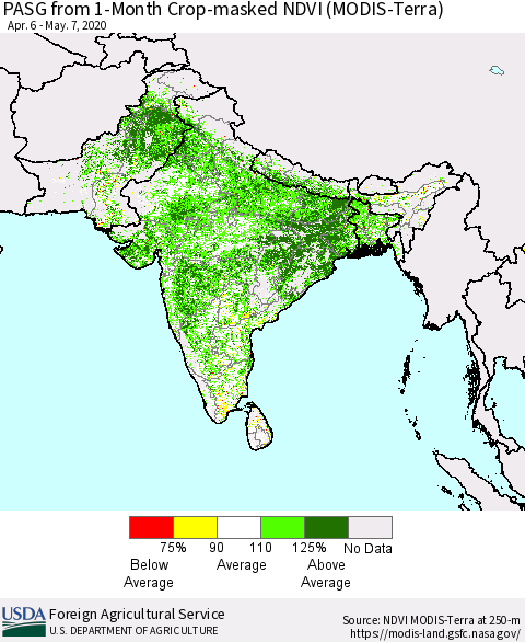 Southern Asia PASG from 1-Month Cropland NDVI (Terra-MODIS) Thematic Map For 5/1/2020 - 5/10/2020