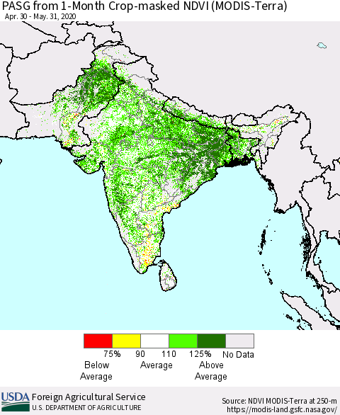Southern Asia PASG from 1-Month Cropland NDVI (Terra-MODIS) Thematic Map For 5/21/2020 - 5/31/2020