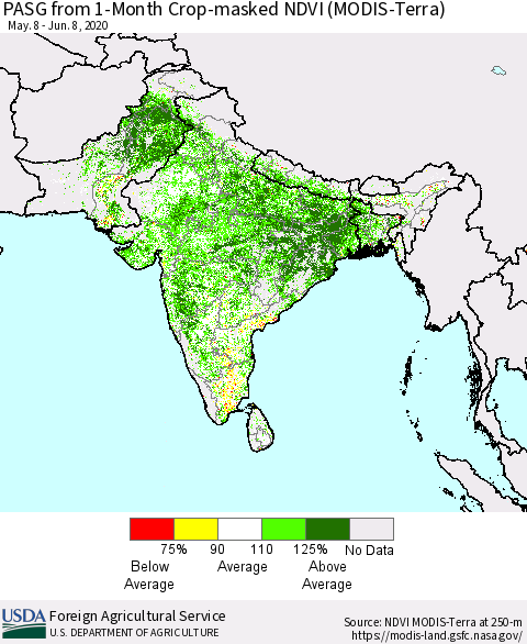 Southern Asia PASG from 1-Month Cropland NDVI (Terra-MODIS) Thematic Map For 6/1/2020 - 6/10/2020