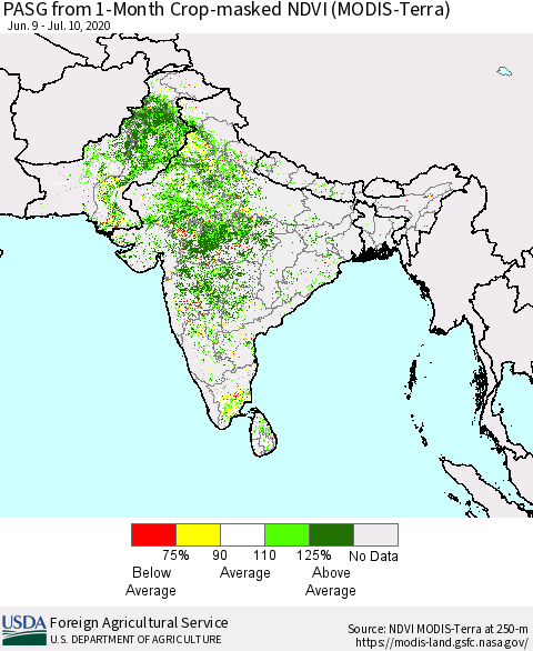 Southern Asia PASG from 1-Month Cropland NDVI (Terra-MODIS) Thematic Map For 7/1/2020 - 7/10/2020