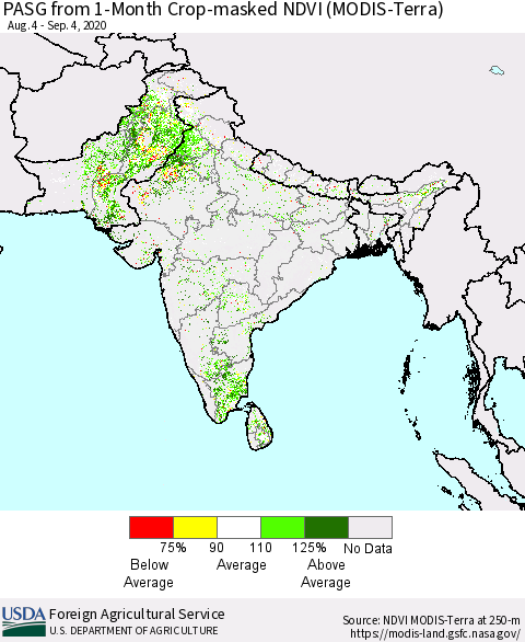 Southern Asia PASG from 1-Month Cropland NDVI (Terra-MODIS) Thematic Map For 9/1/2020 - 9/10/2020