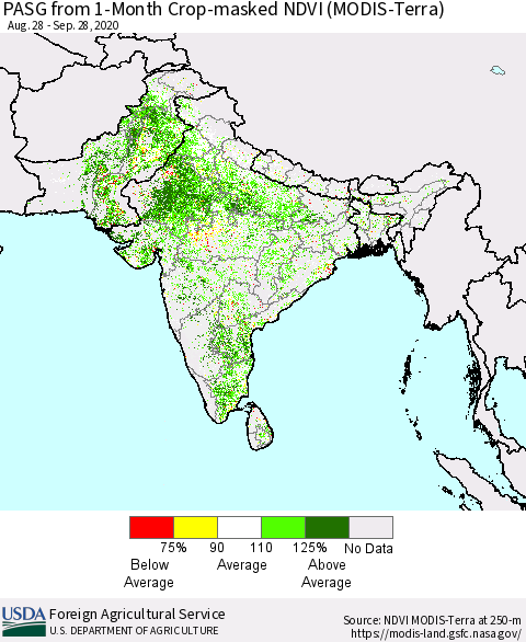 Southern Asia PASG from 1-Month Cropland NDVI (Terra-MODIS) Thematic Map For 9/21/2020 - 9/30/2020