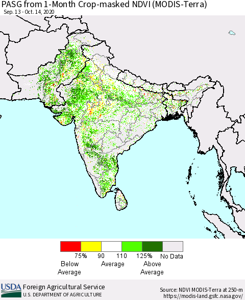 Southern Asia PASG from 1-Month Cropland NDVI (Terra-MODIS) Thematic Map For 10/11/2020 - 10/20/2020