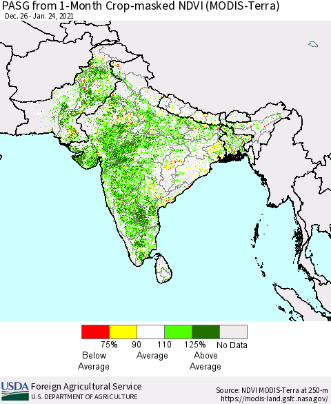 Southern Asia PASG from 1-Month Crop-masked NDVI (MODIS-Terra) Thematic Map For 1/21/2021 - 1/31/2021
