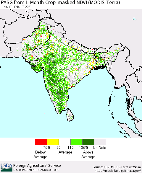Southern Asia PASG from 1-Month Cropland NDVI (Terra-MODIS) Thematic Map For 2/11/2021 - 2/20/2021
