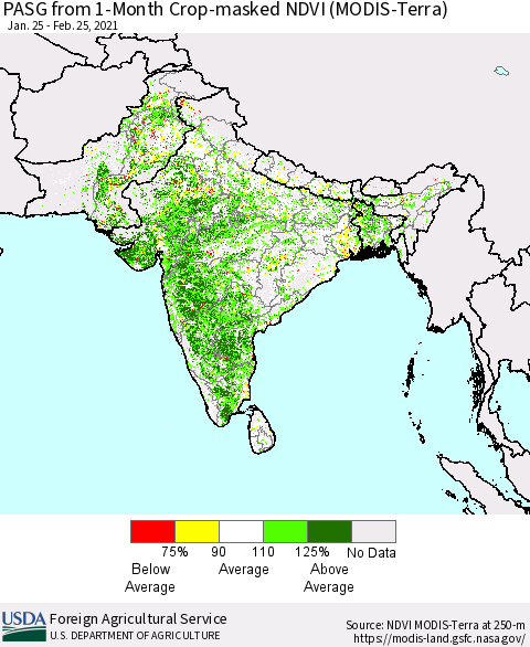 Southern Asia PASG from 1-Month Crop-masked NDVI (MODIS-Terra) Thematic Map For 2/21/2021 - 2/28/2021