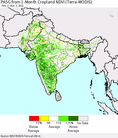 Southern Asia PASG from 1-Month Cropland NDVI (Terra-MODIS) Thematic Map For 2/26/2021 - 3/5/2021
