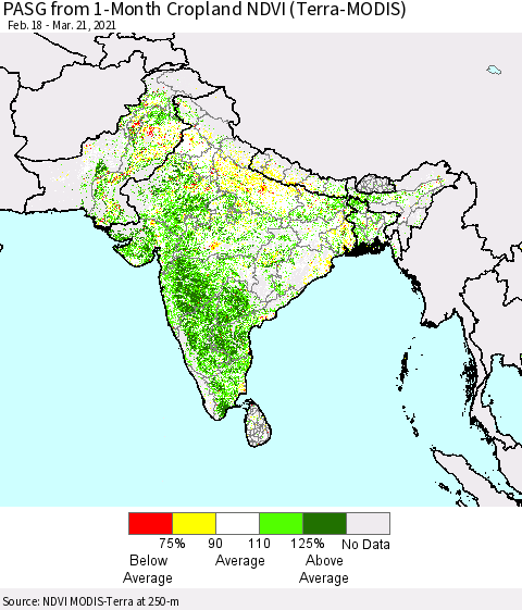 Southern Asia PASG from 1-Month Cropland NDVI (Terra-MODIS) Thematic Map For 3/14/2021 - 3/21/2021