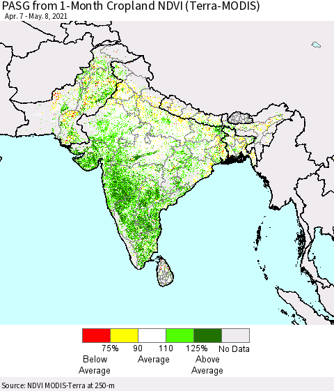 Southern Asia PASG from 1-Month Cropland NDVI (Terra-MODIS) Thematic Map For 5/1/2021 - 5/8/2021