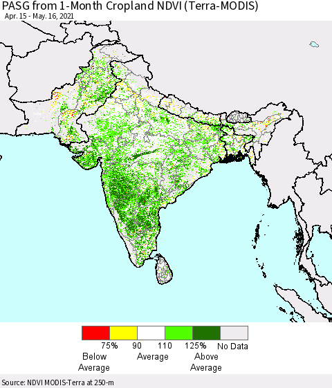 Southern Asia PASG from 1-Month Cropland NDVI (Terra-MODIS) Thematic Map For 5/9/2021 - 5/16/2021