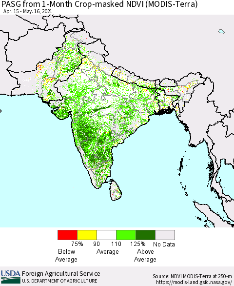 Southern Asia PASG from 1-Month Cropland NDVI (Terra-MODIS) Thematic Map For 5/11/2021 - 5/20/2021
