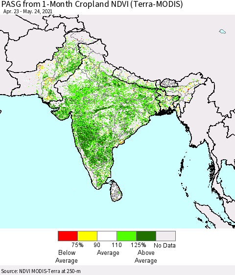 Southern Asia PASG from 1-Month Cropland NDVI (Terra-MODIS) Thematic Map For 5/17/2021 - 5/24/2021