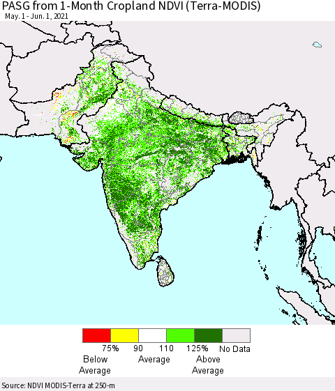 Southern Asia PASG from 1-Month Cropland NDVI (Terra-MODIS) Thematic Map For 5/25/2021 - 6/1/2021