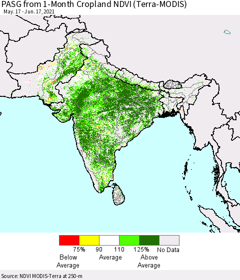 Southern Asia PASG from 1-Month Cropland NDVI (Terra-MODIS) Thematic Map For 6/10/2021 - 6/17/2021