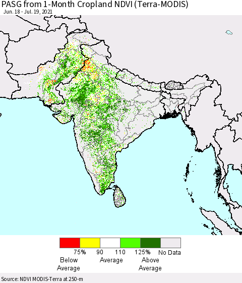 Southern Asia PASG from 1-Month Cropland NDVI (Terra-MODIS) Thematic Map For 7/12/2021 - 7/19/2021