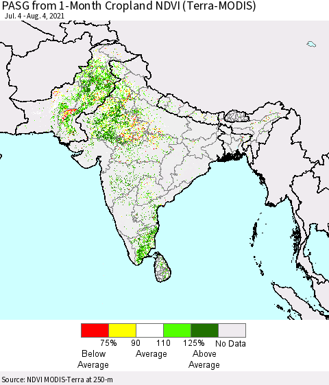 Southern Asia PASG from 1-Month Cropland NDVI (Terra-MODIS) Thematic Map For 7/28/2021 - 8/4/2021