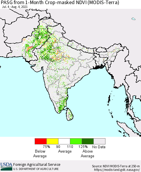 Southern Asia PASG from 1-Month Cropland NDVI (Terra-MODIS) Thematic Map For 8/1/2021 - 8/10/2021