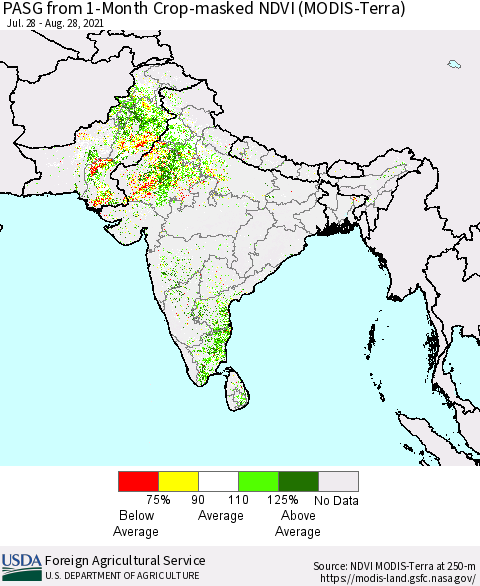 Southern Asia PASG from 1-Month Cropland NDVI (Terra-MODIS) Thematic Map For 8/21/2021 - 8/31/2021