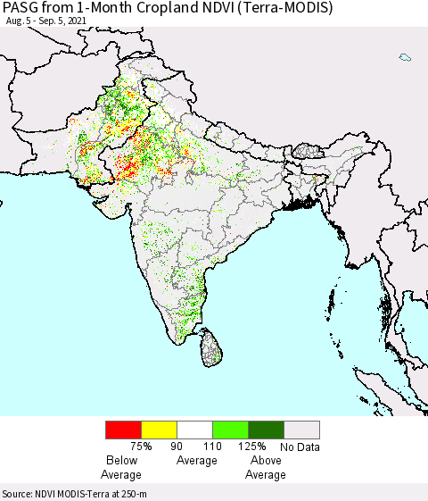 Southern Asia PASG from 1-Month Cropland NDVI (Terra-MODIS) Thematic Map For 8/29/2021 - 9/5/2021