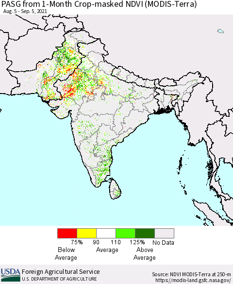 Southern Asia PASG from 1-Month Cropland NDVI (Terra-MODIS) Thematic Map For 9/1/2021 - 9/10/2021