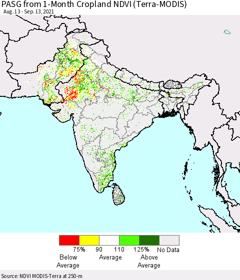 Southern Asia PASG from 1-Month Cropland NDVI (Terra-MODIS) Thematic Map For 9/6/2021 - 9/13/2021