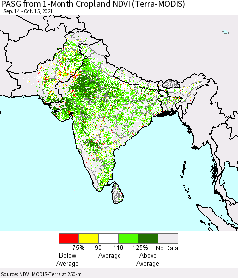 Southern Asia PASG from 1-Month Cropland NDVI (Terra-MODIS) Thematic Map For 10/8/2021 - 10/15/2021