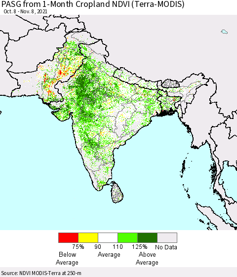 Southern Asia PASG from 1-Month Cropland NDVI (Terra-MODIS) Thematic Map For 11/1/2021 - 11/8/2021