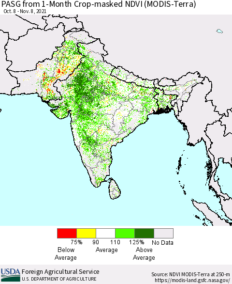 Southern Asia PASG from 1-Month Crop-masked NDVI (MODIS-Terra) Thematic Map For 11/1/2021 - 11/10/2021