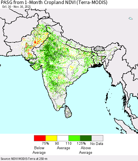 Southern Asia PASG from 1-Month Cropland NDVI (Terra-MODIS) Thematic Map For 11/9/2021 - 11/16/2021