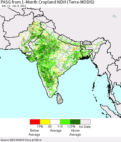 Southern Asia PASG from 1-Month Cropland NDVI (Terra-MODIS) Thematic Map For 1/1/2022 - 1/8/2022