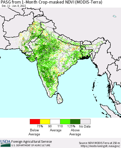 Southern Asia PASG from 1-Month Crop-masked NDVI (MODIS-Terra) Thematic Map For 1/1/2022 - 1/10/2022