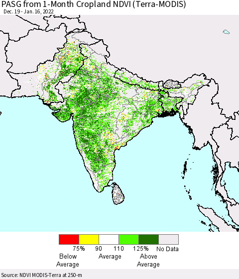 Southern Asia PASG from 1-Month Cropland NDVI (Terra-MODIS) Thematic Map For 1/9/2022 - 1/16/2022