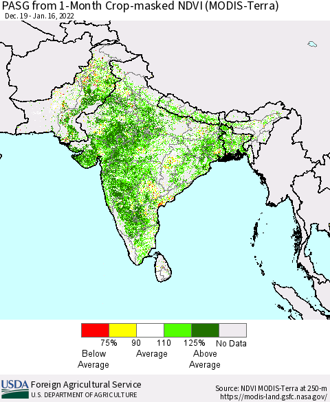 Southern Asia PASG from 1-Month Cropland NDVI (Terra-MODIS) Thematic Map For 1/11/2022 - 1/20/2022