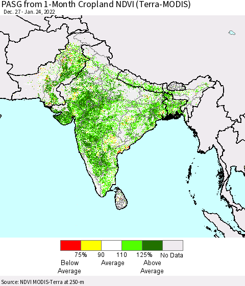 Southern Asia PASG from 1-Month Cropland NDVI (Terra-MODIS) Thematic Map For 1/17/2022 - 1/24/2022