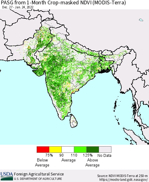 Southern Asia PASG from 1-Month Cropland NDVI (Terra-MODIS) Thematic Map For 1/21/2022 - 1/31/2022