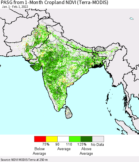 Southern Asia PASG from 1-Month Cropland NDVI (Terra-MODIS) Thematic Map For 1/25/2022 - 2/1/2022