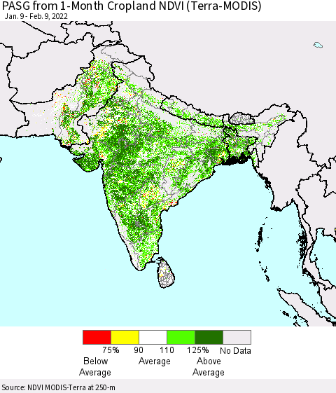Southern Asia PASG from 1-Month Cropland NDVI (Terra-MODIS) Thematic Map For 2/2/2022 - 2/9/2022